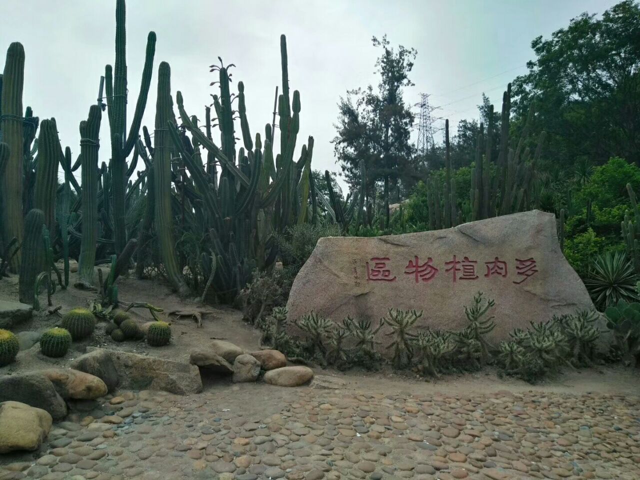 廈門園林植物園旅遊景點攻略圖