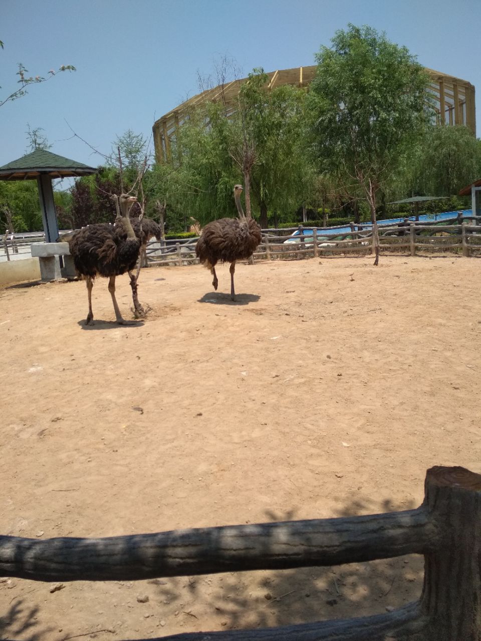 臨沂動植物園