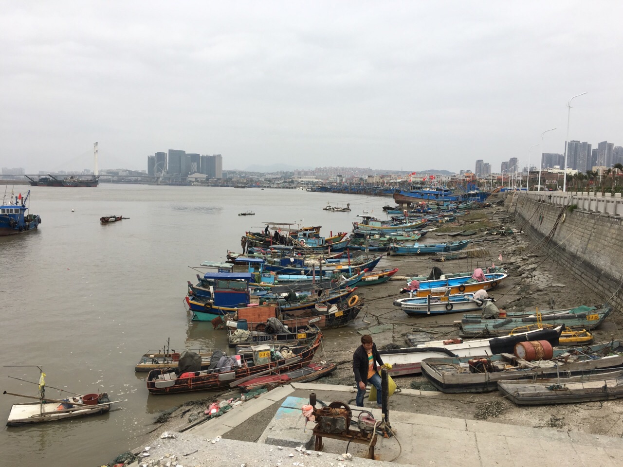 2020金山嘴渔村-旅游攻略-门票-地址-问答-游记点评，上海旅游旅游景点推荐-去哪儿攻略