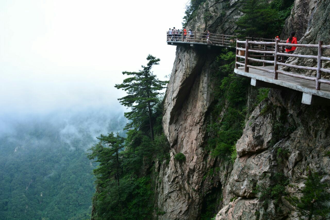 河南老君山旅遊攻略(老君山一日遊最佳攻略)