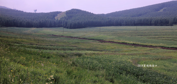 2018~~夏游张家口十天(三)~~五花草甸~滦河神
