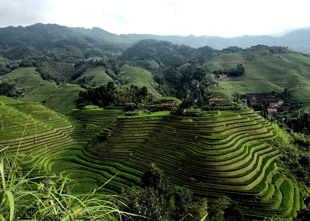 2019金坑梯田-旅游攻略-门票-地址-问答-游记点评