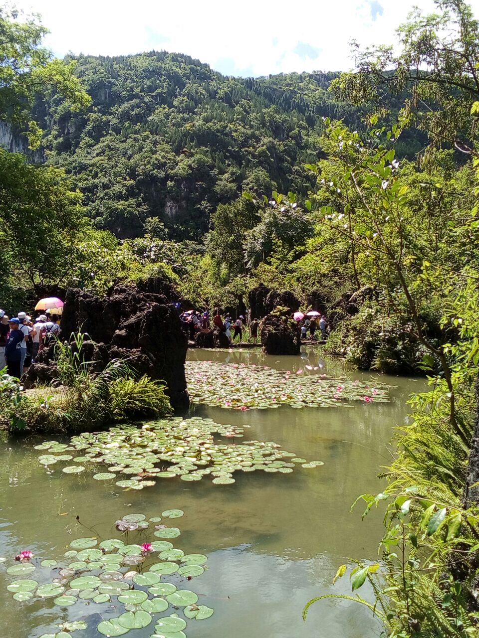 2019天星橋風景區_旅遊攻略_門票_地址_遊記點評,黃果樹旅遊景點推薦