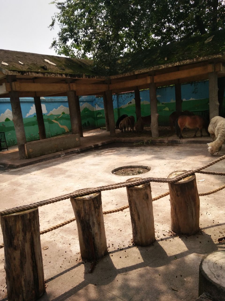 成都動物園旅遊景點攻略圖