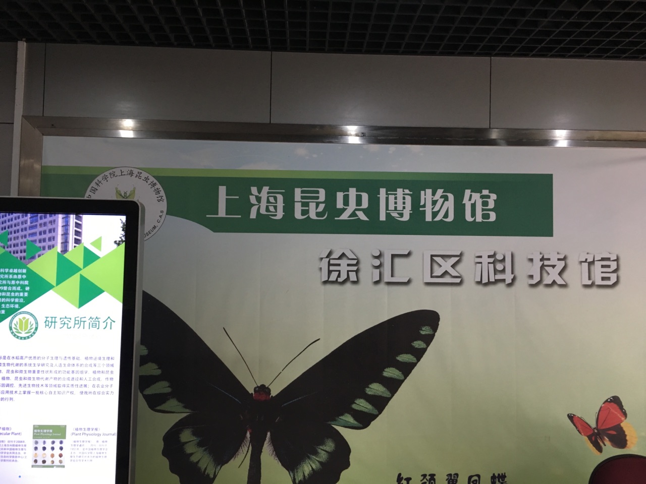 2023上海昆虫博物馆游玩攻略,整个博物馆以小朋友参观为主.