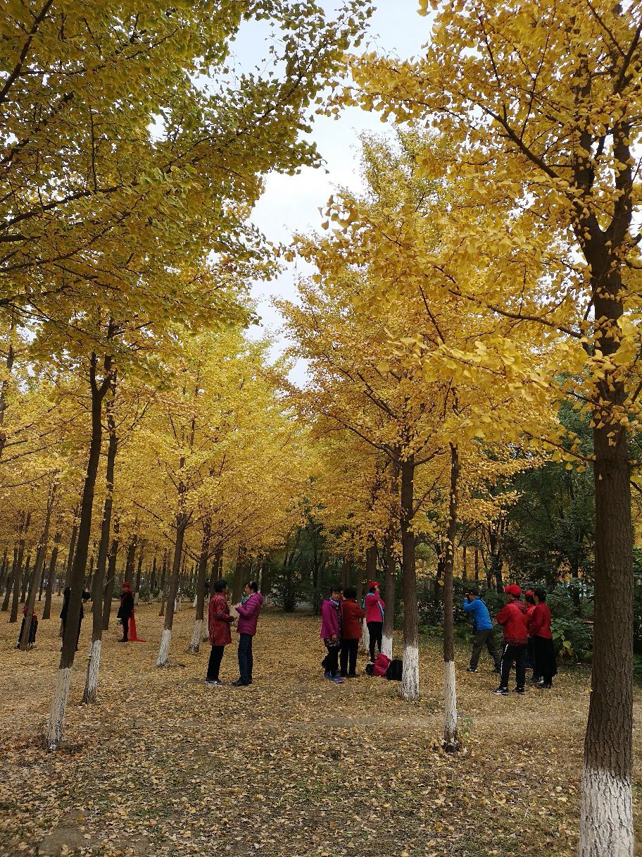 北京天元公园图片