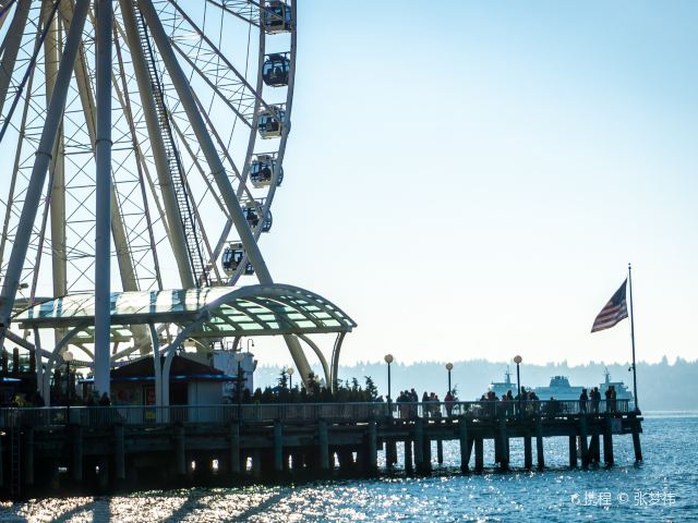 西雅图摩天轮