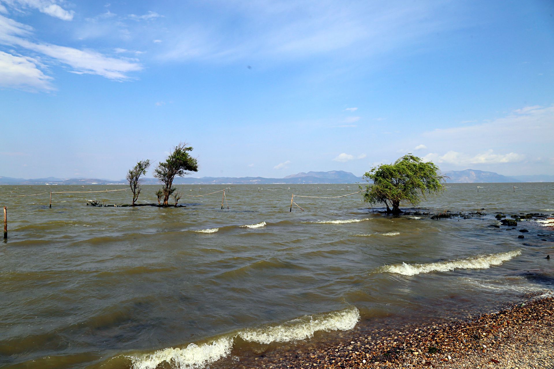 捞鱼河湿地公园