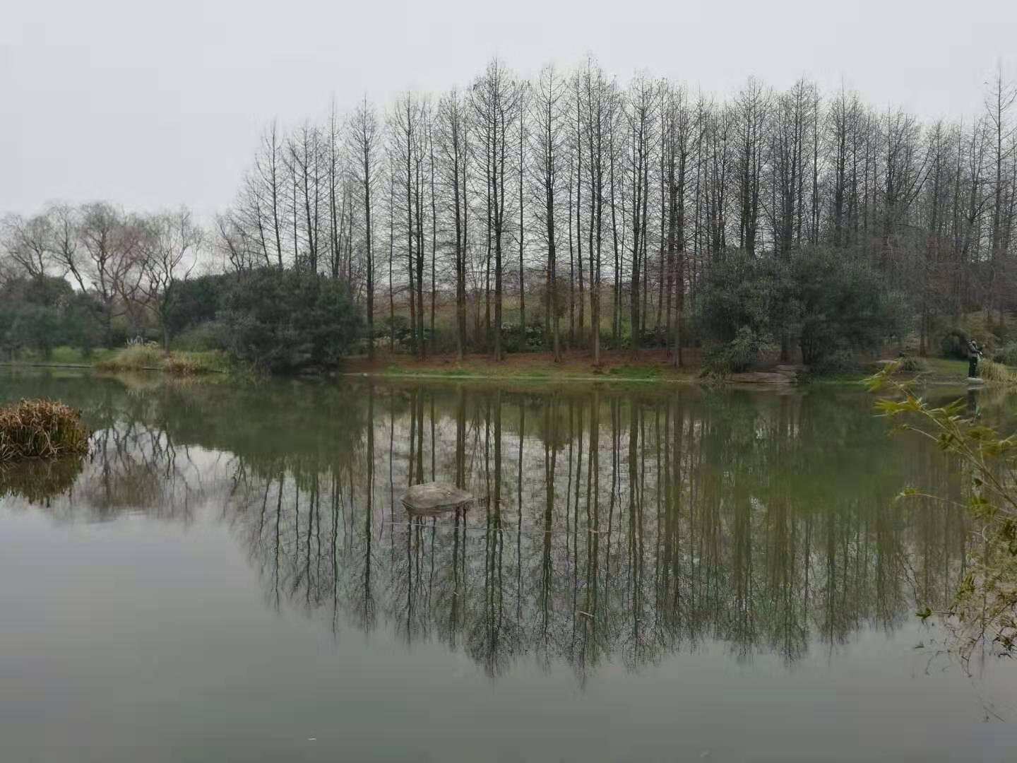 2019江湾湿地公园-旅游攻略-门票-地址-问答-游记点评，上海旅游旅游景点推荐-去哪儿攻略