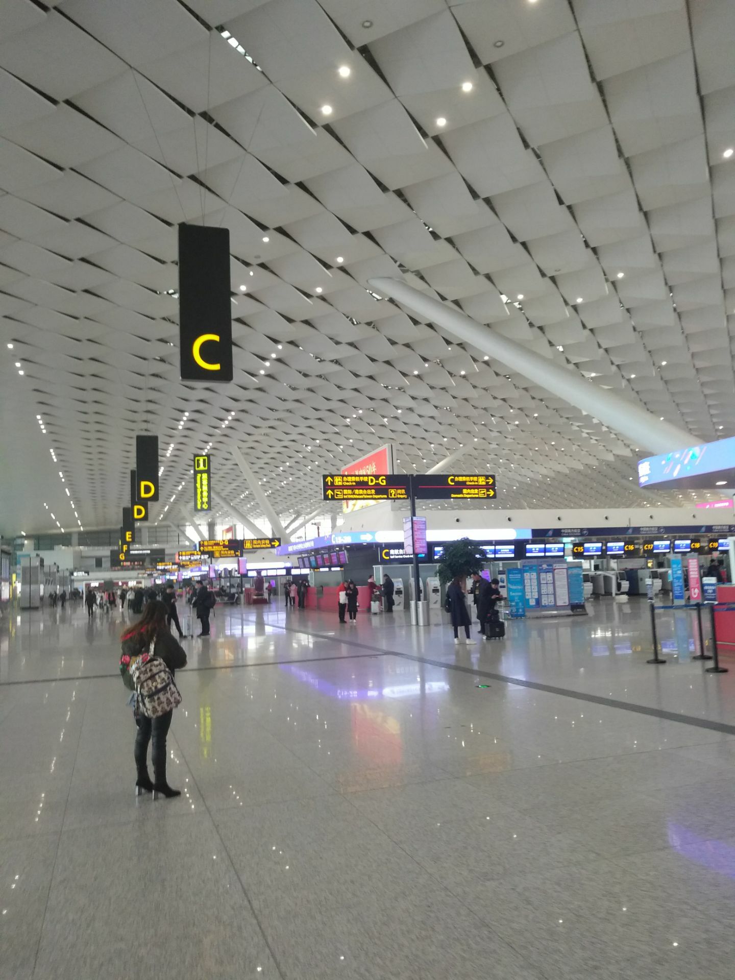 画廊 郑州新郑国际机场T2航站楼及GTC / 中国建筑东北设计研究院 - 5