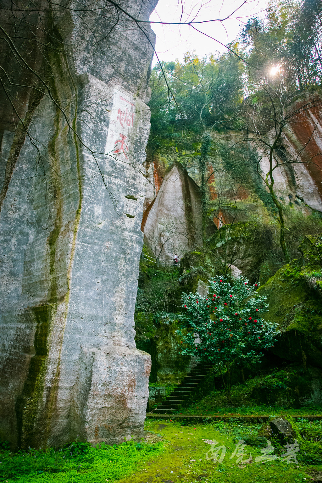 绍兴一座叫"狗"的山,桃花包围,来头还不小