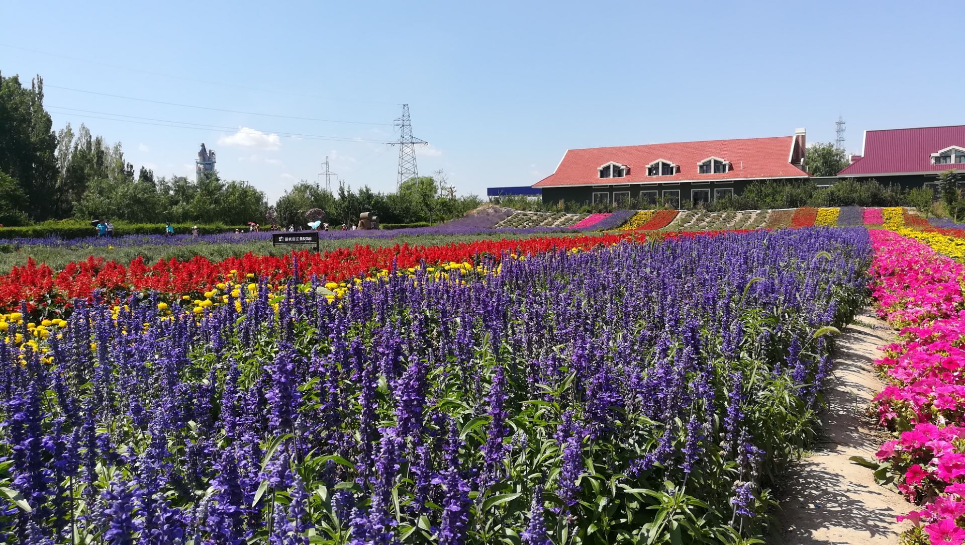 【携程攻略】景点,东方普罗旺斯薰衣草庄园位于怀柔镇郭家坞村，每到6月，鲜花绚烂，游…