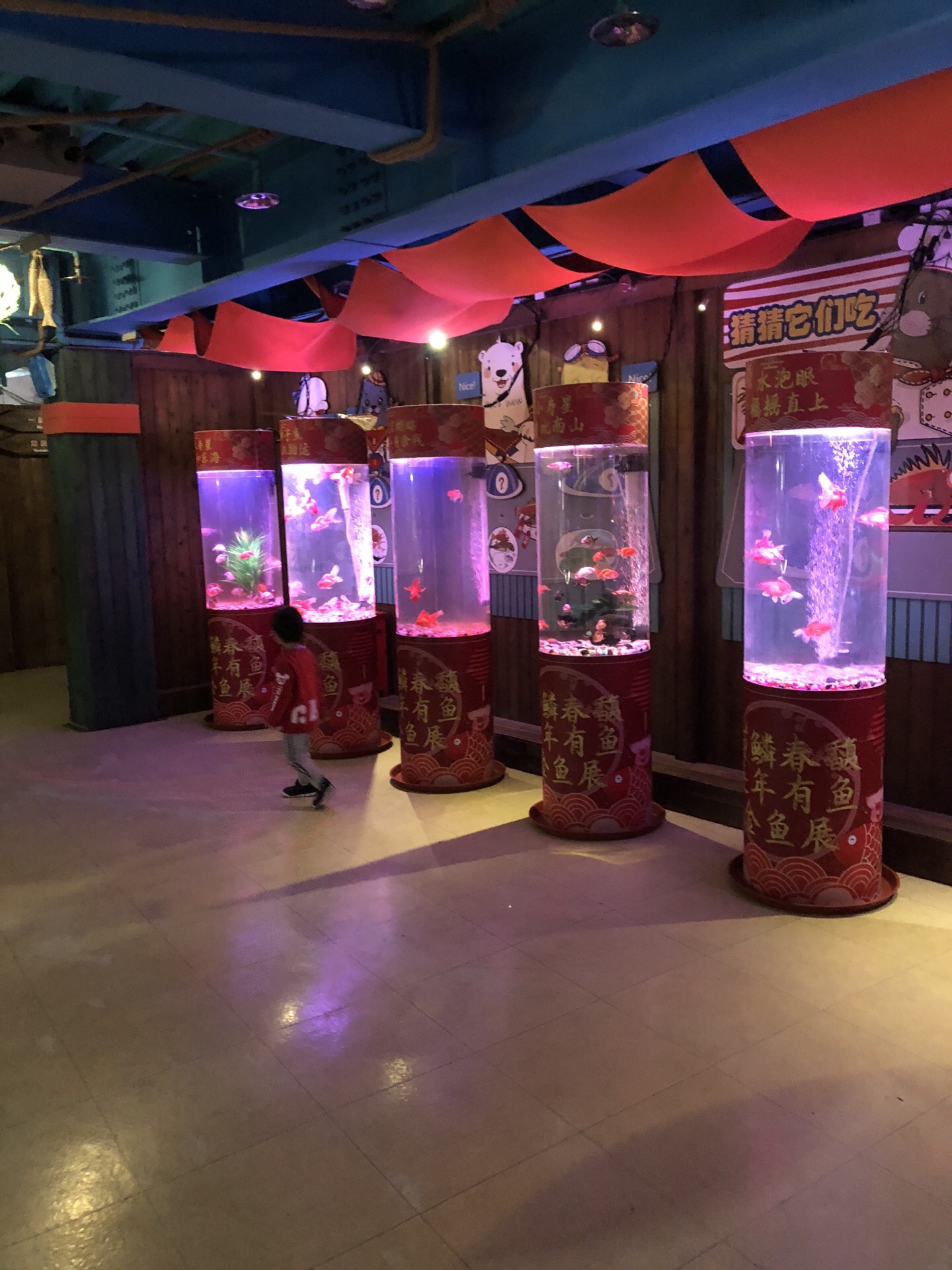 2023青岛海昌极地海洋公园玩乐攻略,小孩玩的多,门口吃东西的地.