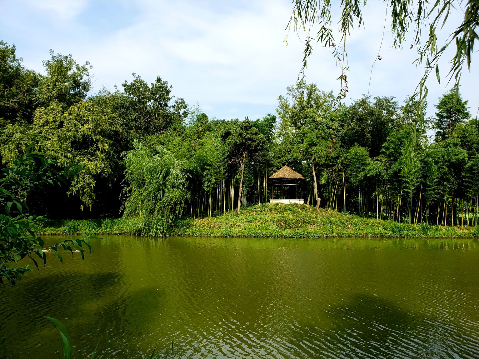 【携程攻略】扬州凤凰岛生态旅游区景点,是一个湿地公园，景色很美。还可以看到野鹅。假日里可以邀请好友一起…