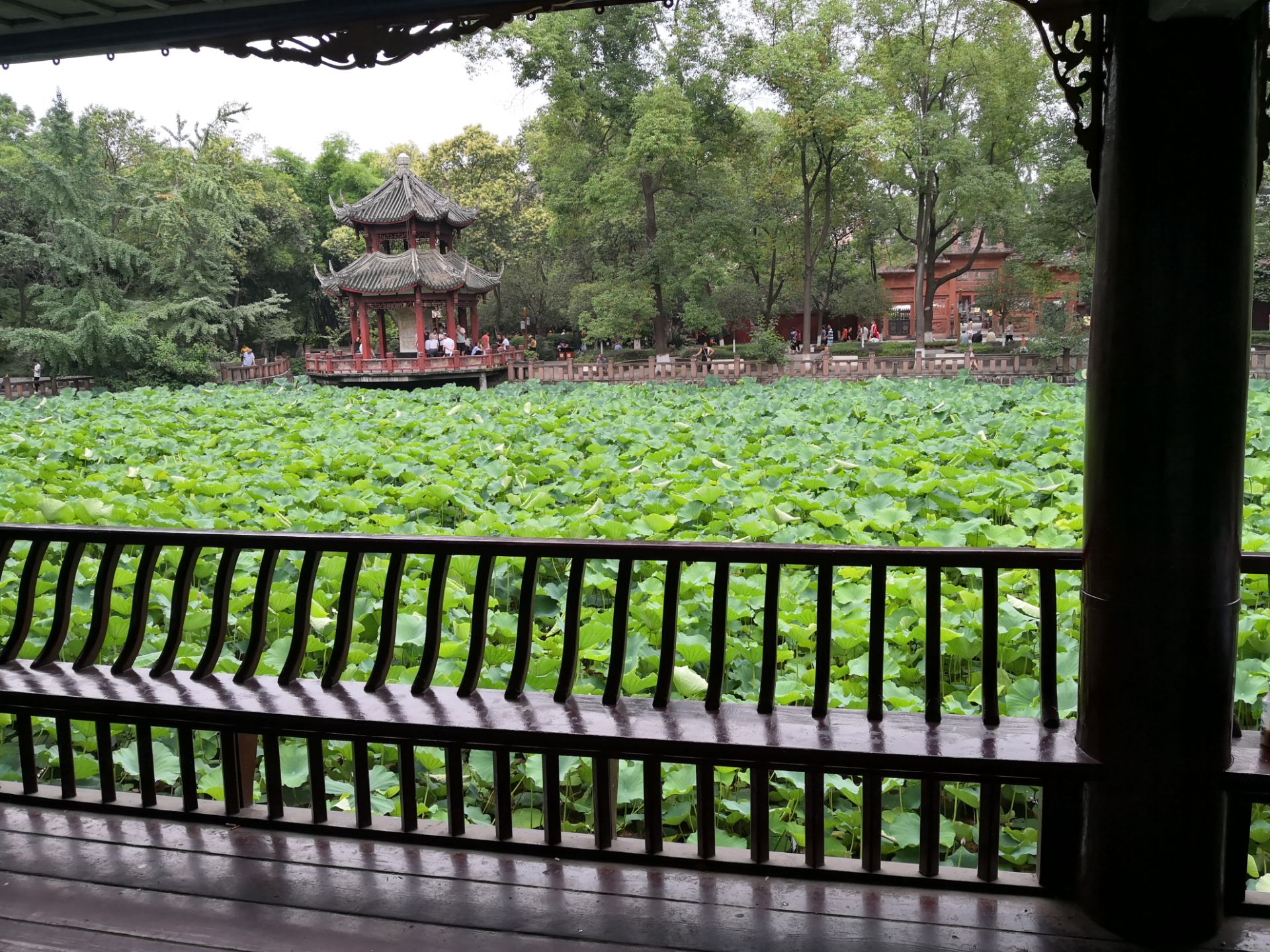 广汉房湖公园攻略,广汉房湖公园门票/游玩攻略/地址/图片/门票价格