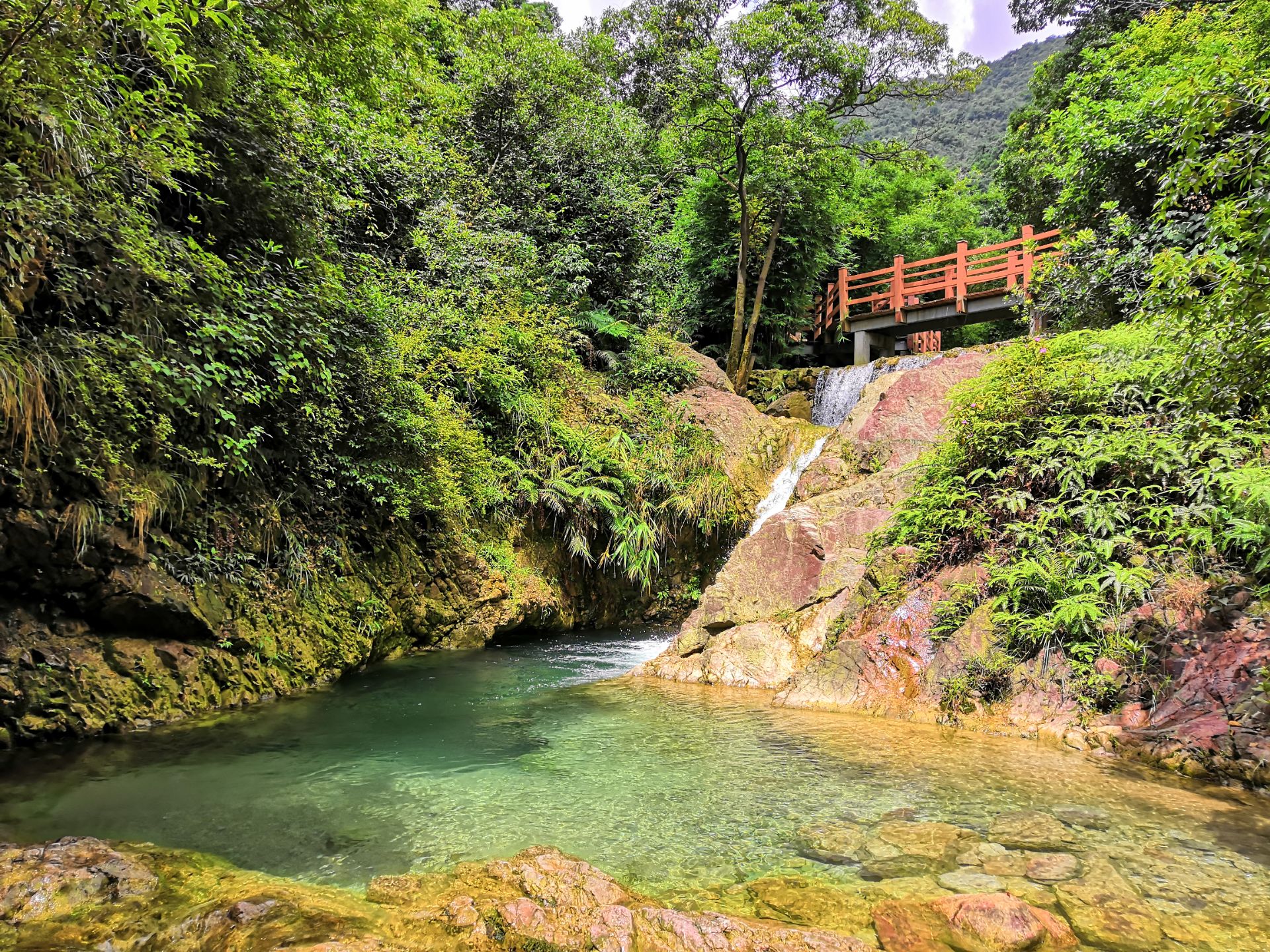 佛山南海湾森林生态园好玩吗,佛山南海湾森林生态园景点怎么样_点评