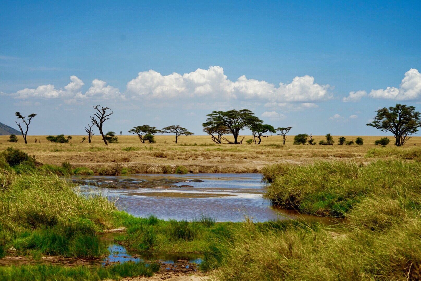 充满着非洲大草原的旷野之美,是一个超大的野生动物园,绝对值