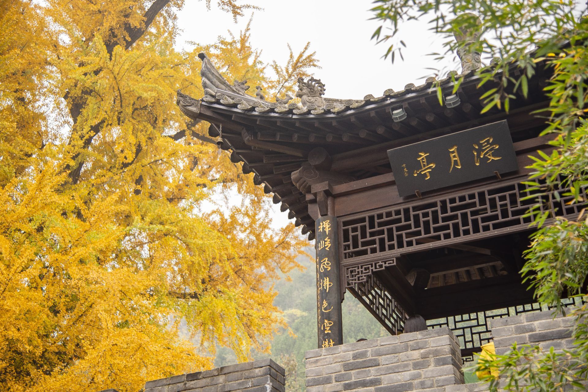宜春十大著名景点，明月山、中部梦幻城、禅都文化博览园排前三 - 哔哩哔哩