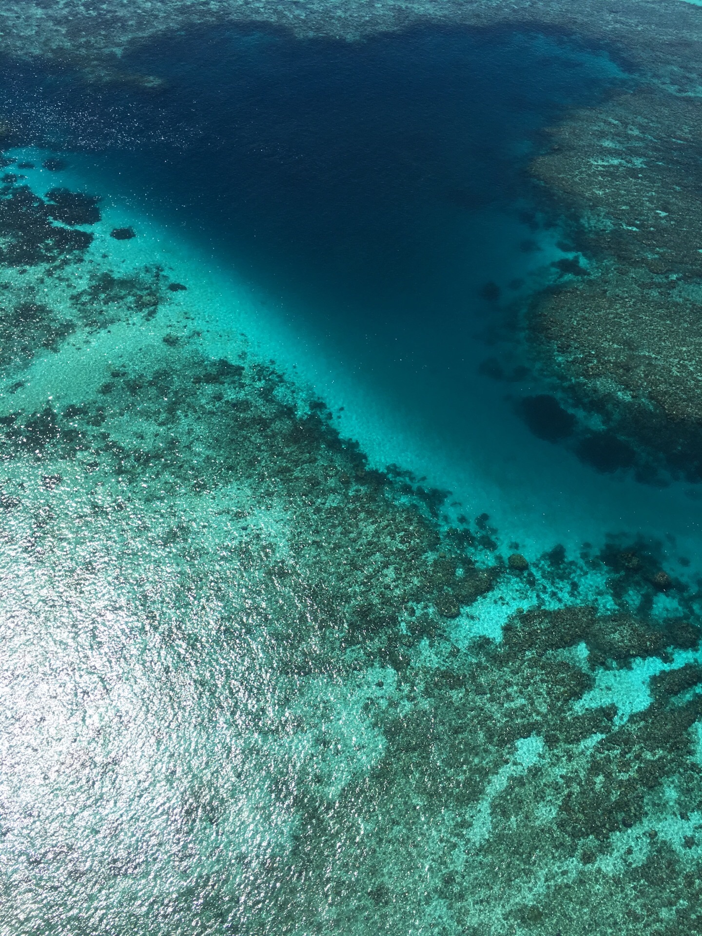 Overhead view of the great barrier reef, Queensland, Australia image ...