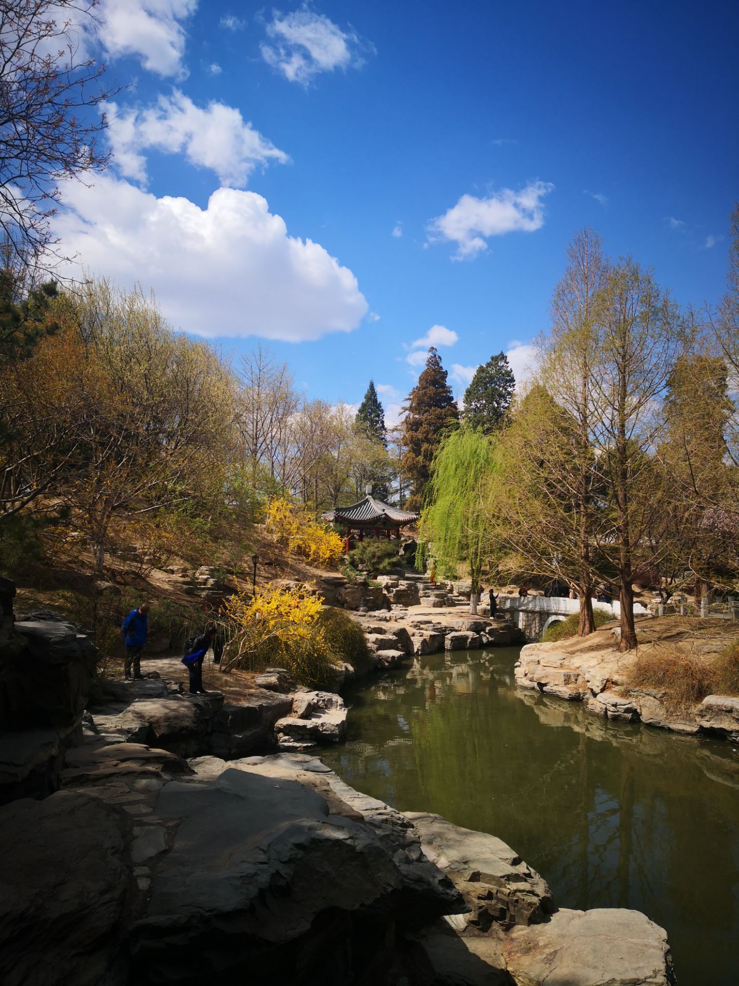 北京中山公園攻略,北京中山公園門票/遊玩攻略/地址/圖片/門票價格