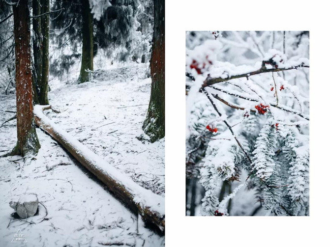 林海雪原简谱_穿林海跨雪原简谱(2)