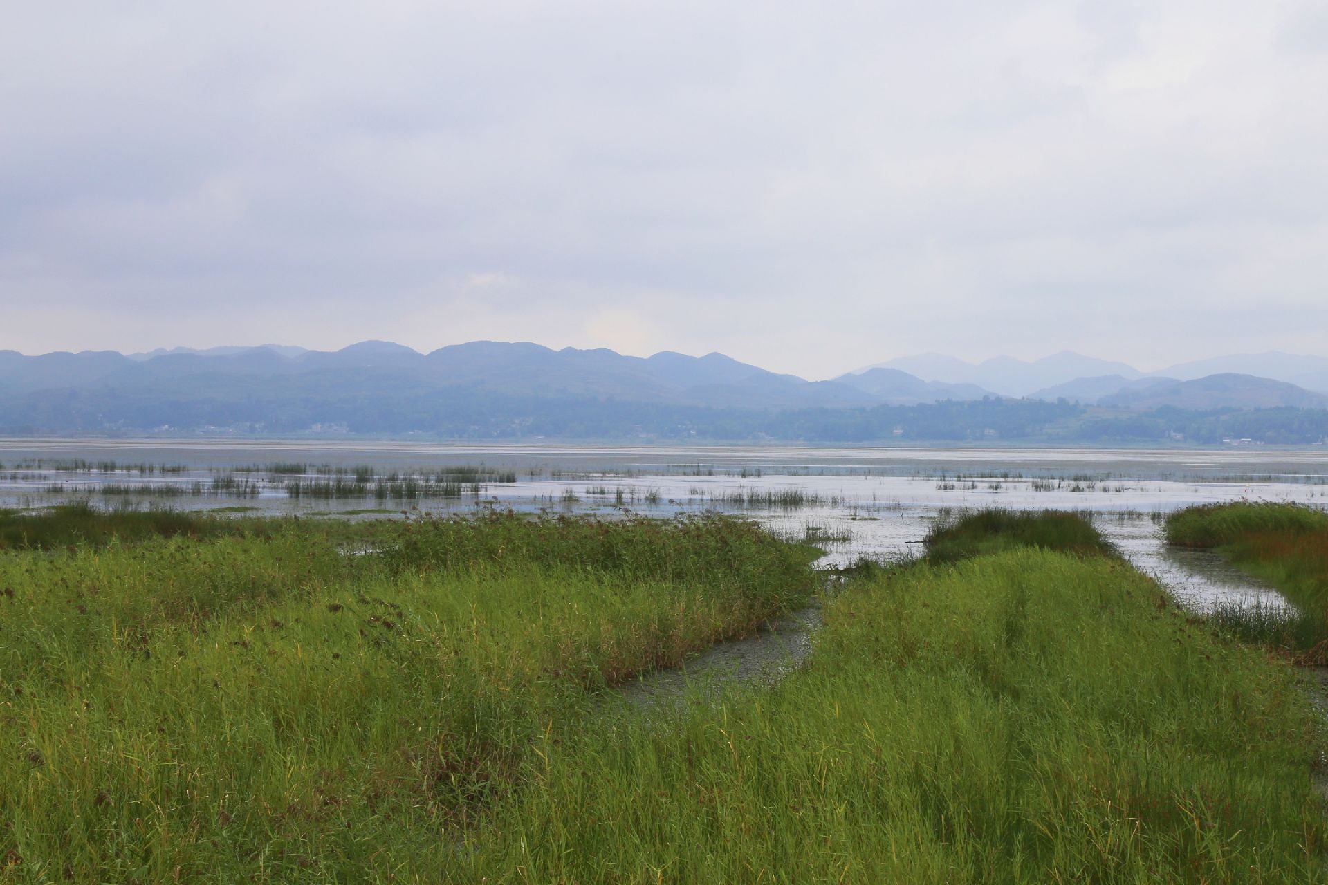贵州威宁：草海退地还湖记_自然保护区