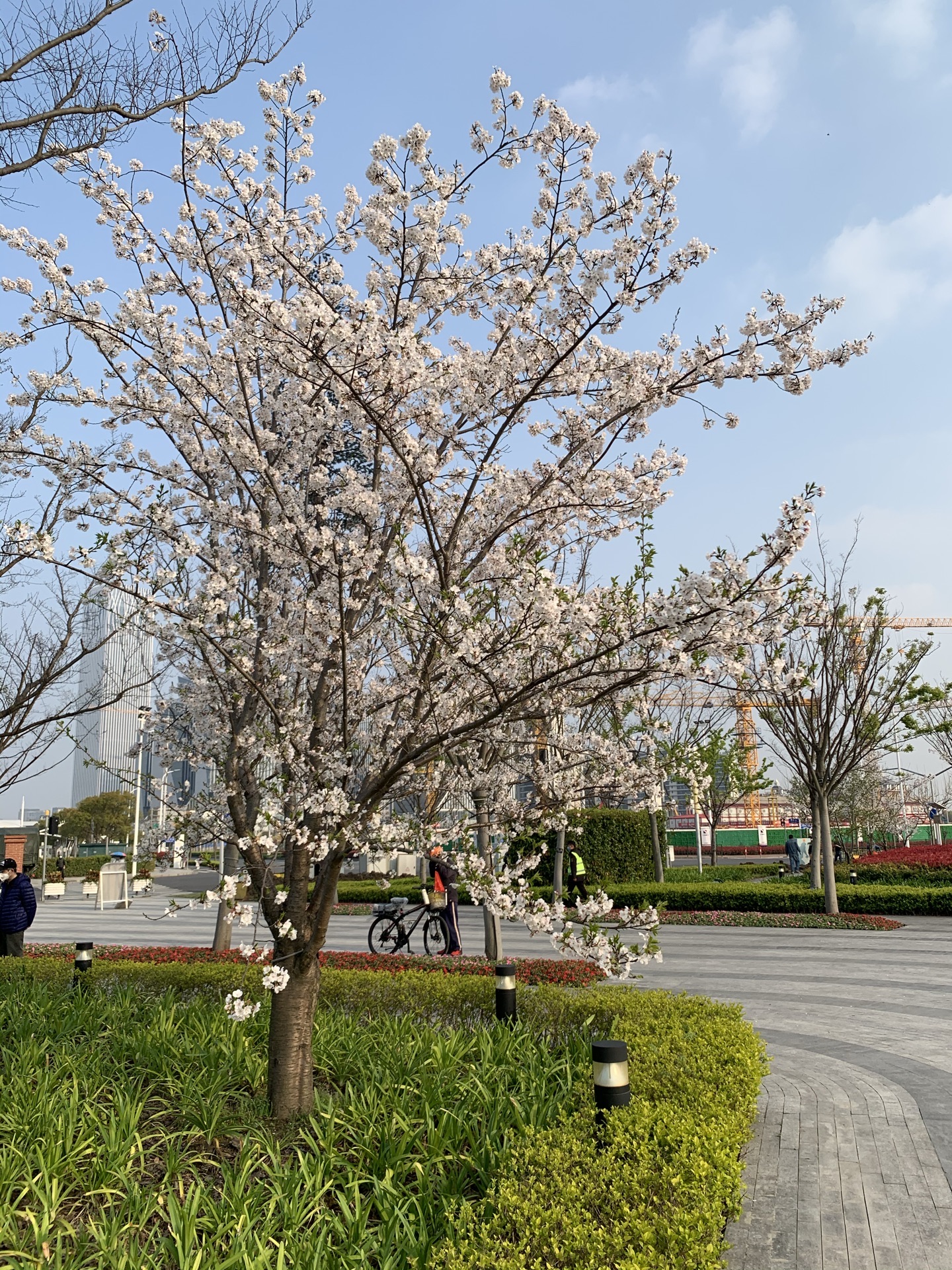 前灘友城公園