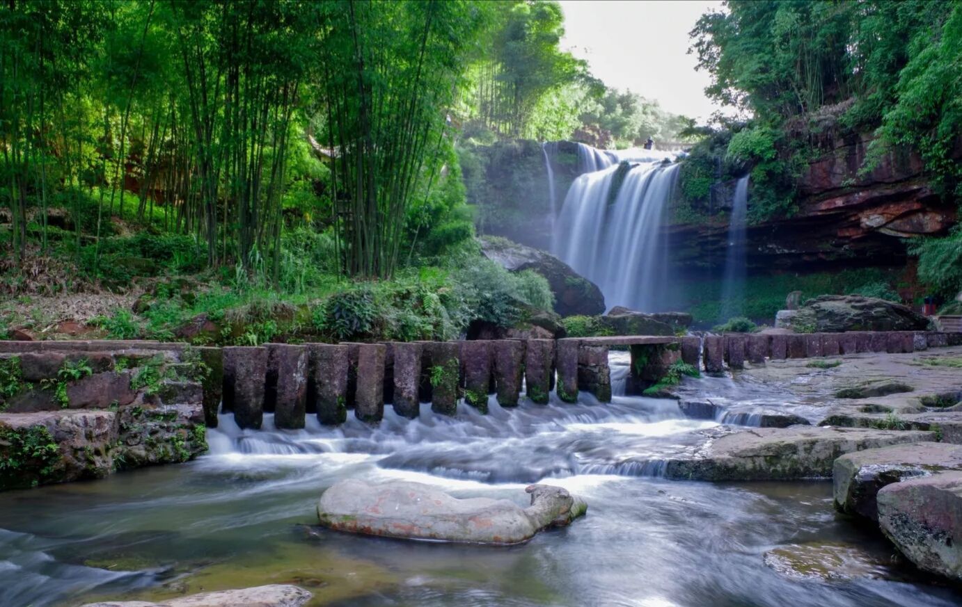 #旅游复苏我们在行动#今日旅游之蜀南竹海 - 今日传媒