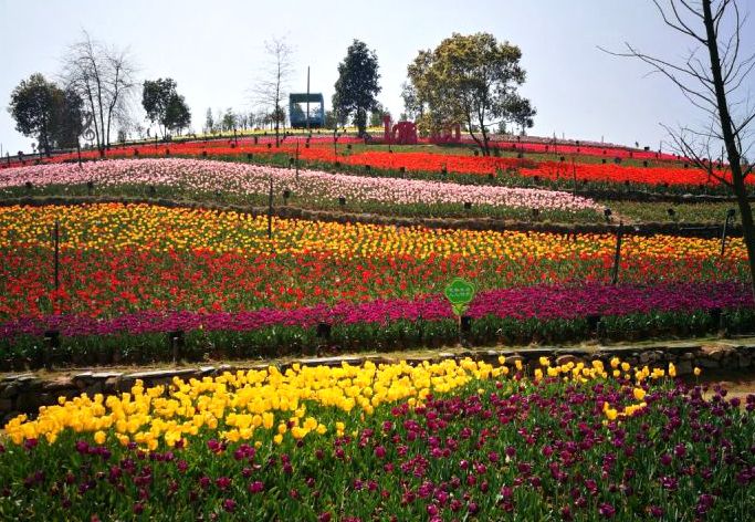 凱光新天地新餘國家亞熱帶植物園