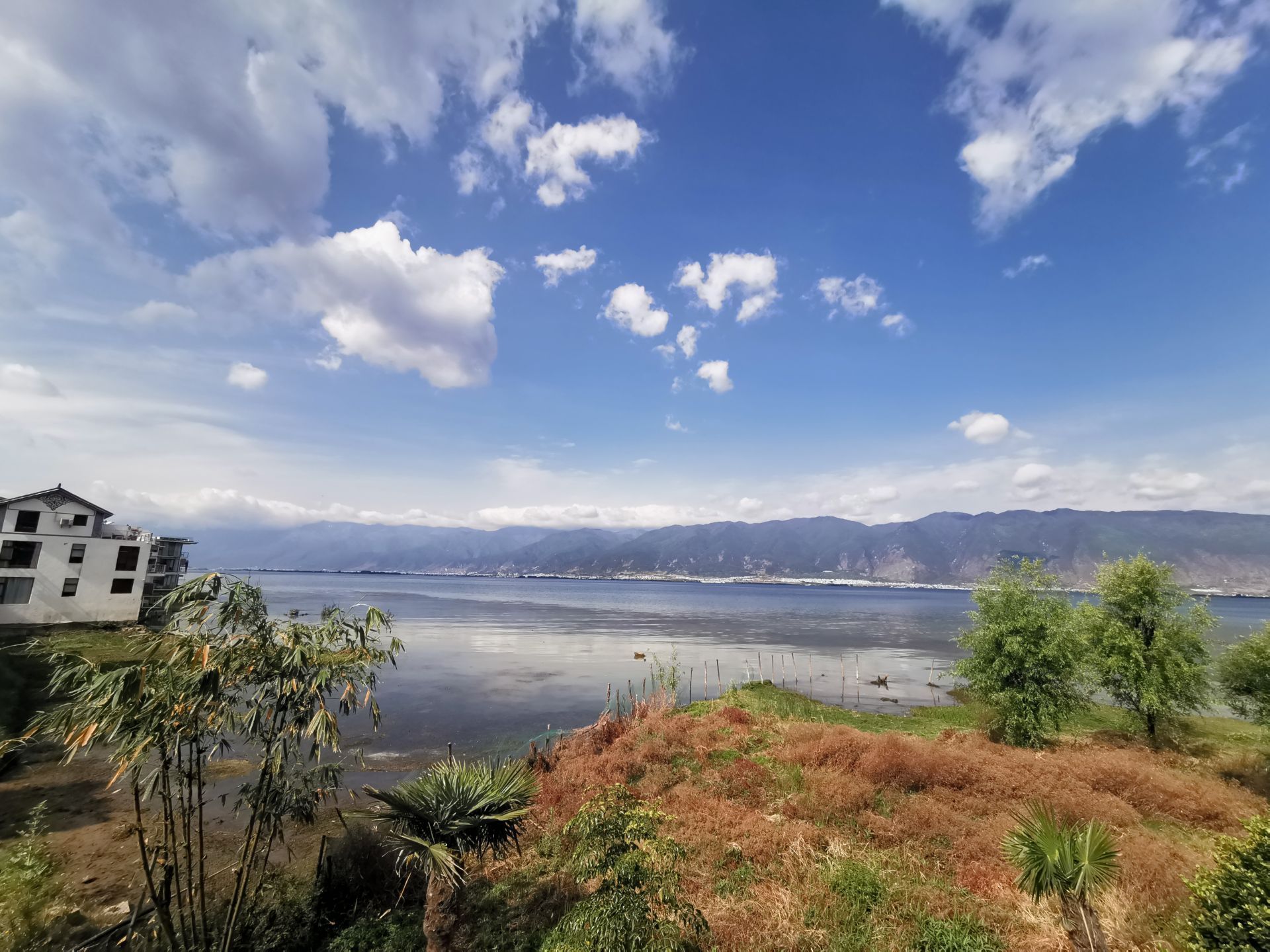 双廊一直是网上比较火的一个景点,因为看了很多点评和网红照片,心里