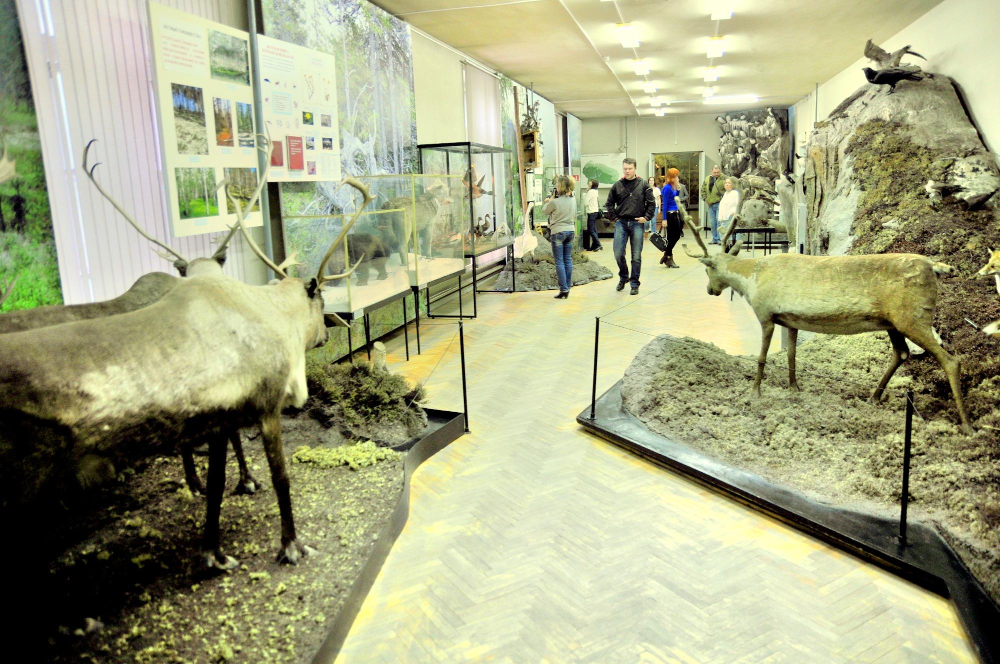 摩尔曼斯克州地方志博物馆 直线距离223m