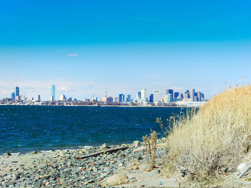 波士顿奇观岛攻略-奇观岛门票价格多少钱-团购票价预定优惠-景点地址