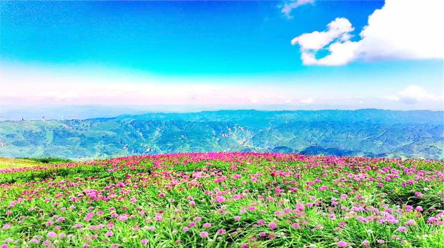 畢節小韭菜坪攻略,畢節小韭菜坪門票/遊玩攻略/地址/圖片/門票價格