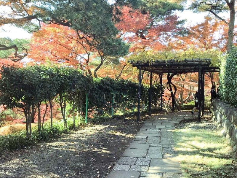 东京五岛美术馆攻略-五岛美术馆门票价格多少钱-团购票价预定优惠