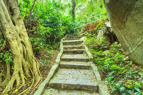 珠海莲花路商业街