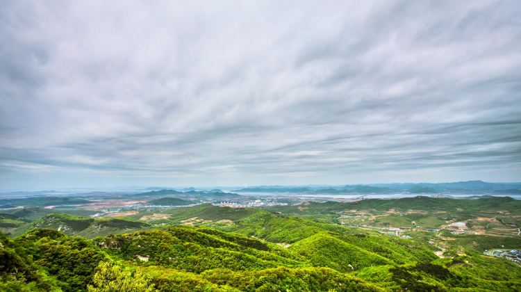 大连小黑山森林公园攻略-小黑山森林公园门票价格多少钱-团购票价预定