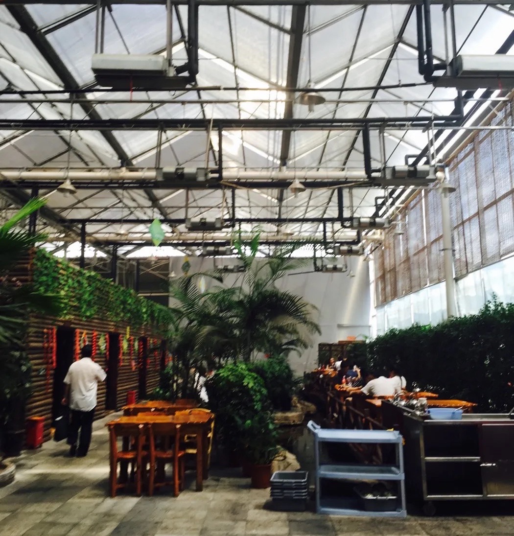 北京生态园餐厅有哪些图片
