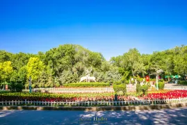 2-Day Urumqi Tour: Exploring the Legend of the Heavenly Horses, The Majesty of the Tianshan Grand Canyon