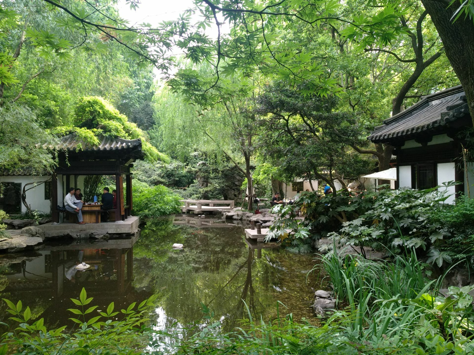 靜安公園裡面有一個園中園,名叫八景園,是靜安公園的精華所在,門票3元