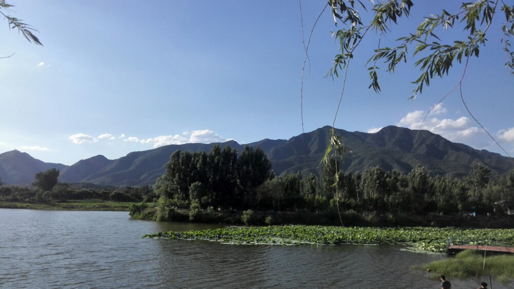 红螺湖鸟岛景区