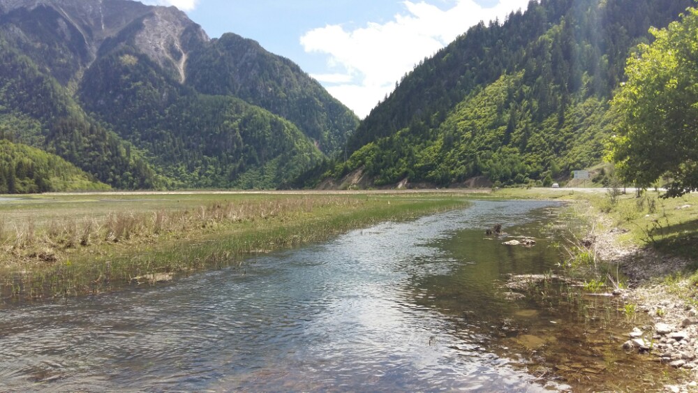 2019甘海子_旅游攻略_门票_地址_游记点评,九寨沟旅游景点推荐 - 去
