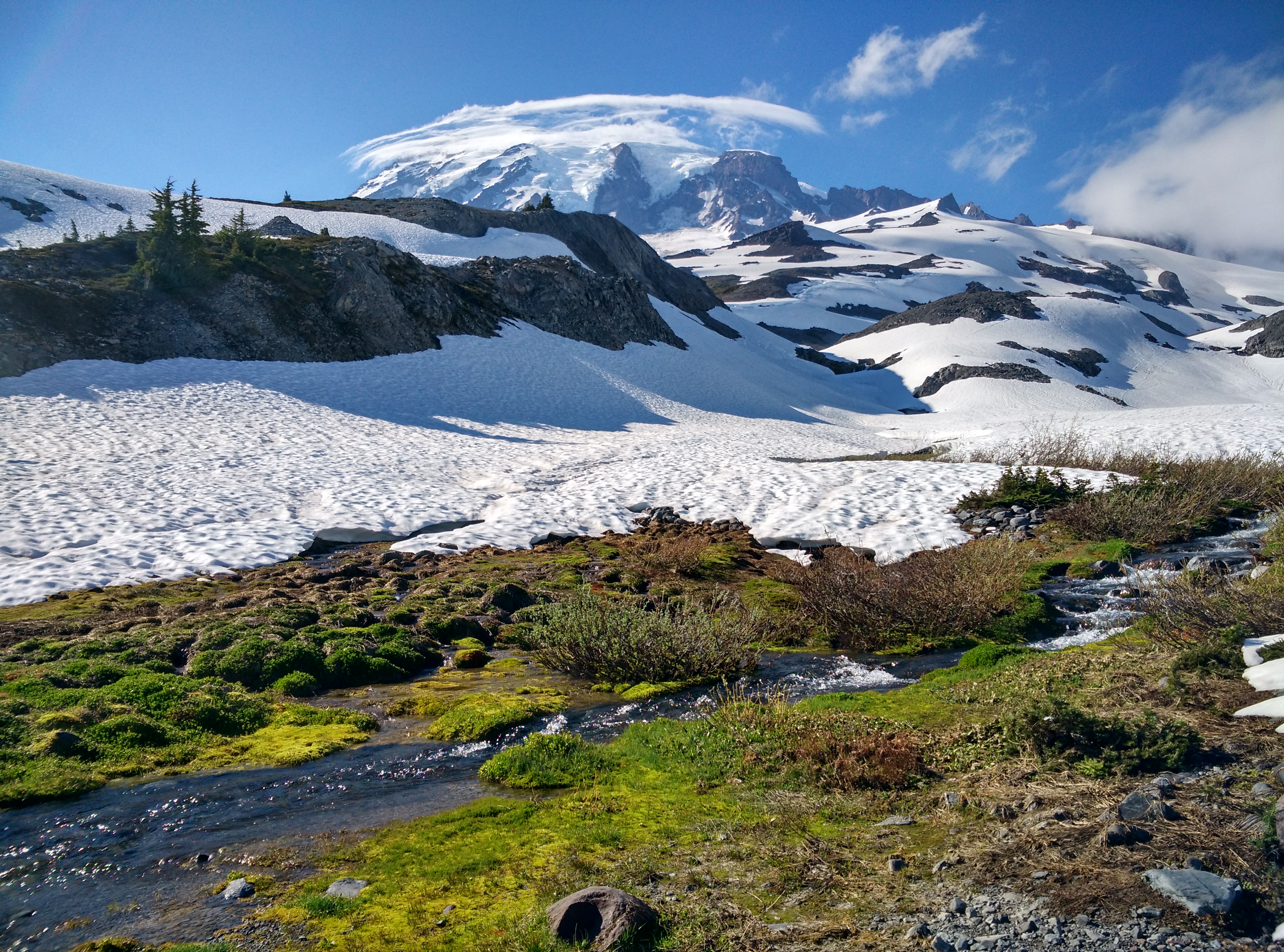 瑞尼尔山国家公园雷尼尔山国家公园攻略,瑞尼尔山国家公园雷尼尔山