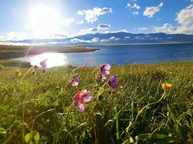 6月新疆伊犁大环线