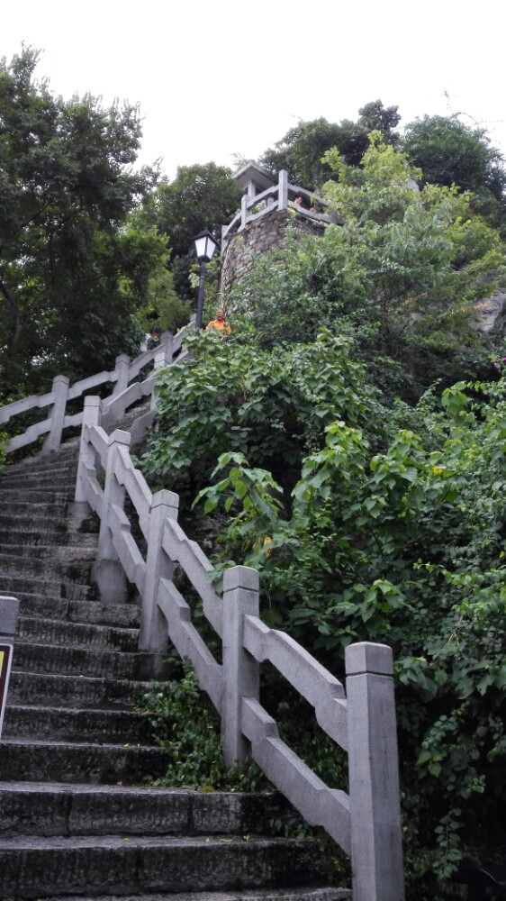柳州鱼峰山顶图片图片