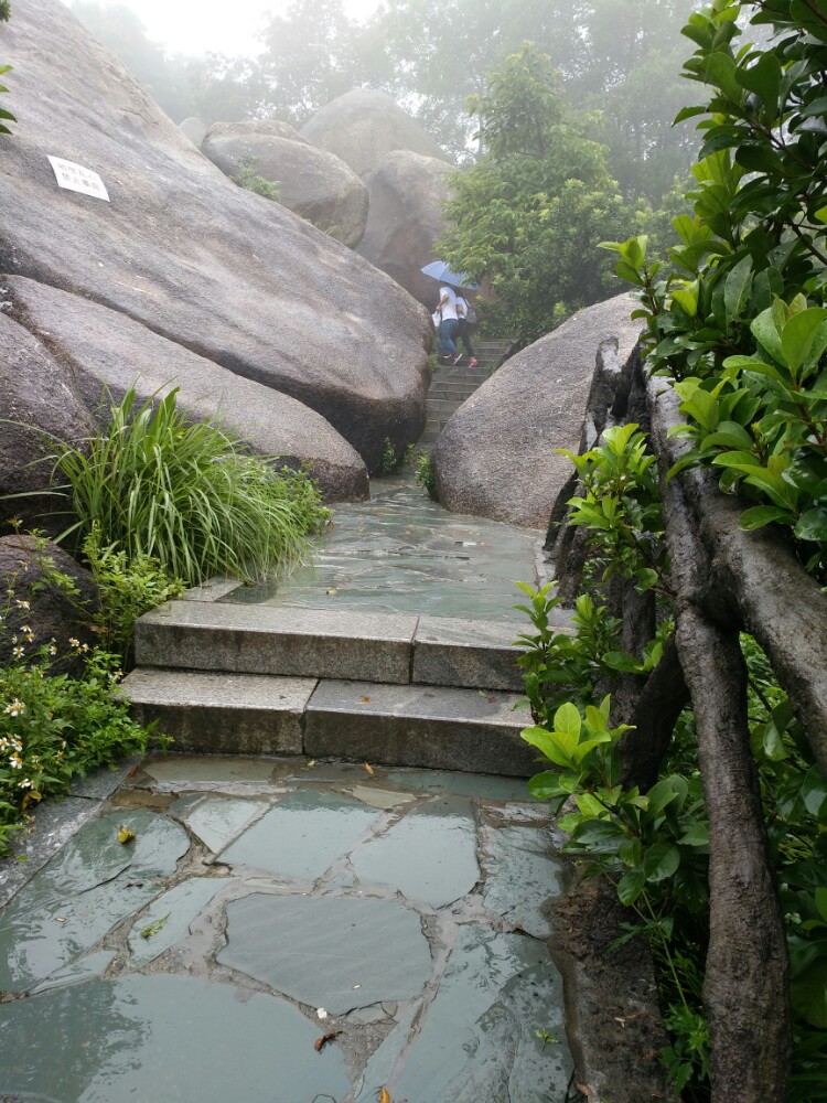 【攜程攻略】深圳鳳凰山景點,不錯,不過去的時候下雨,不下雨更好