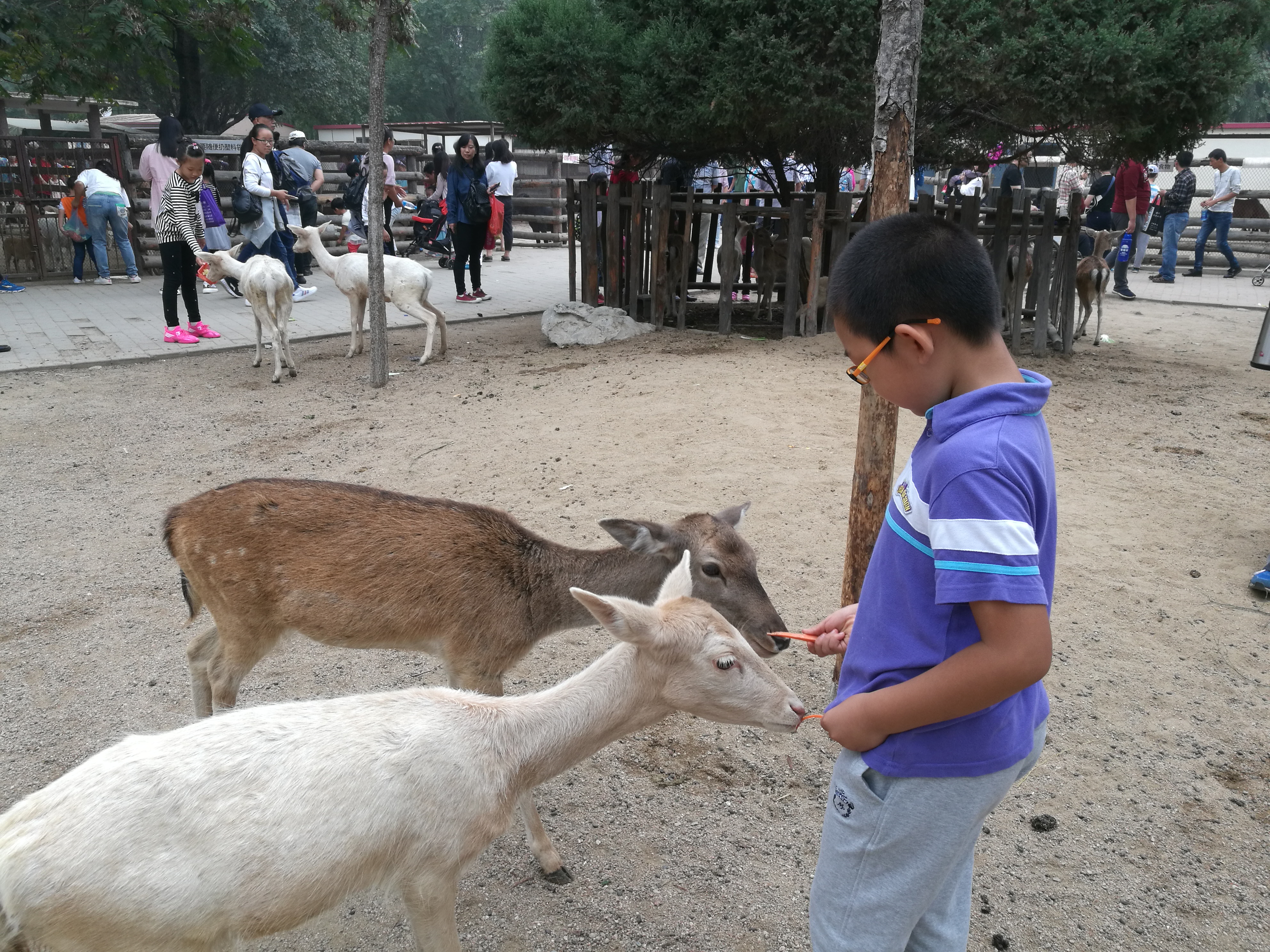 2022天津动物园游玩攻略,...带着小朋友来这里最棒了，...【去哪儿攻略】
