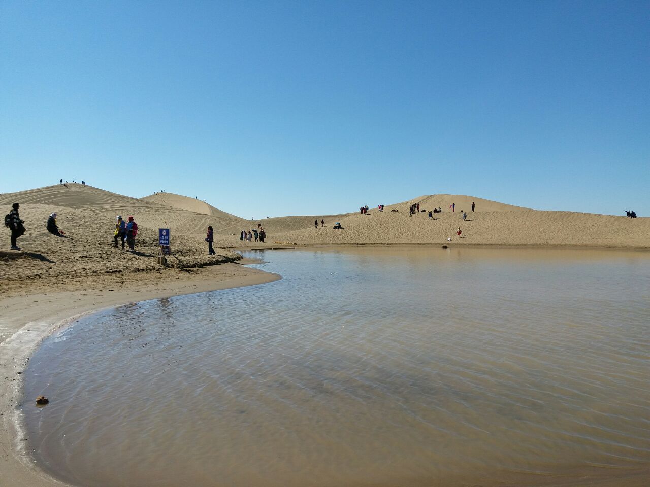 额济纳旗八道桥好玩吗,额济纳旗八道桥景点怎么样_点评_评价【携程