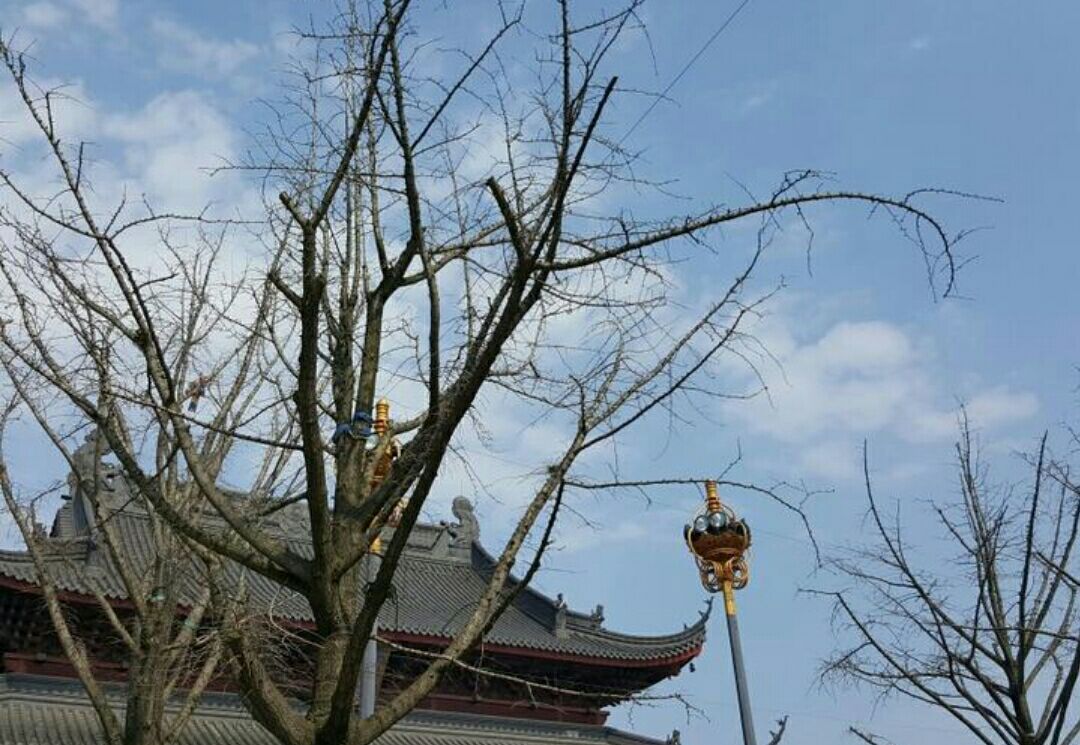 漳州普照寺位于龙海县港尾镇,通往牛头山古火山口的路上,坐落在南太武