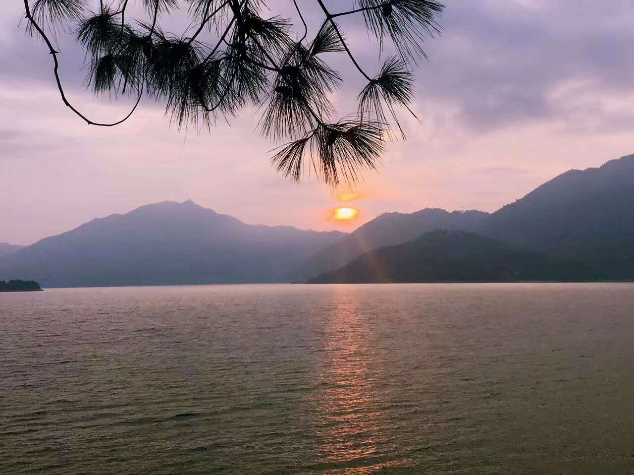 東江湖鳳凰島景區