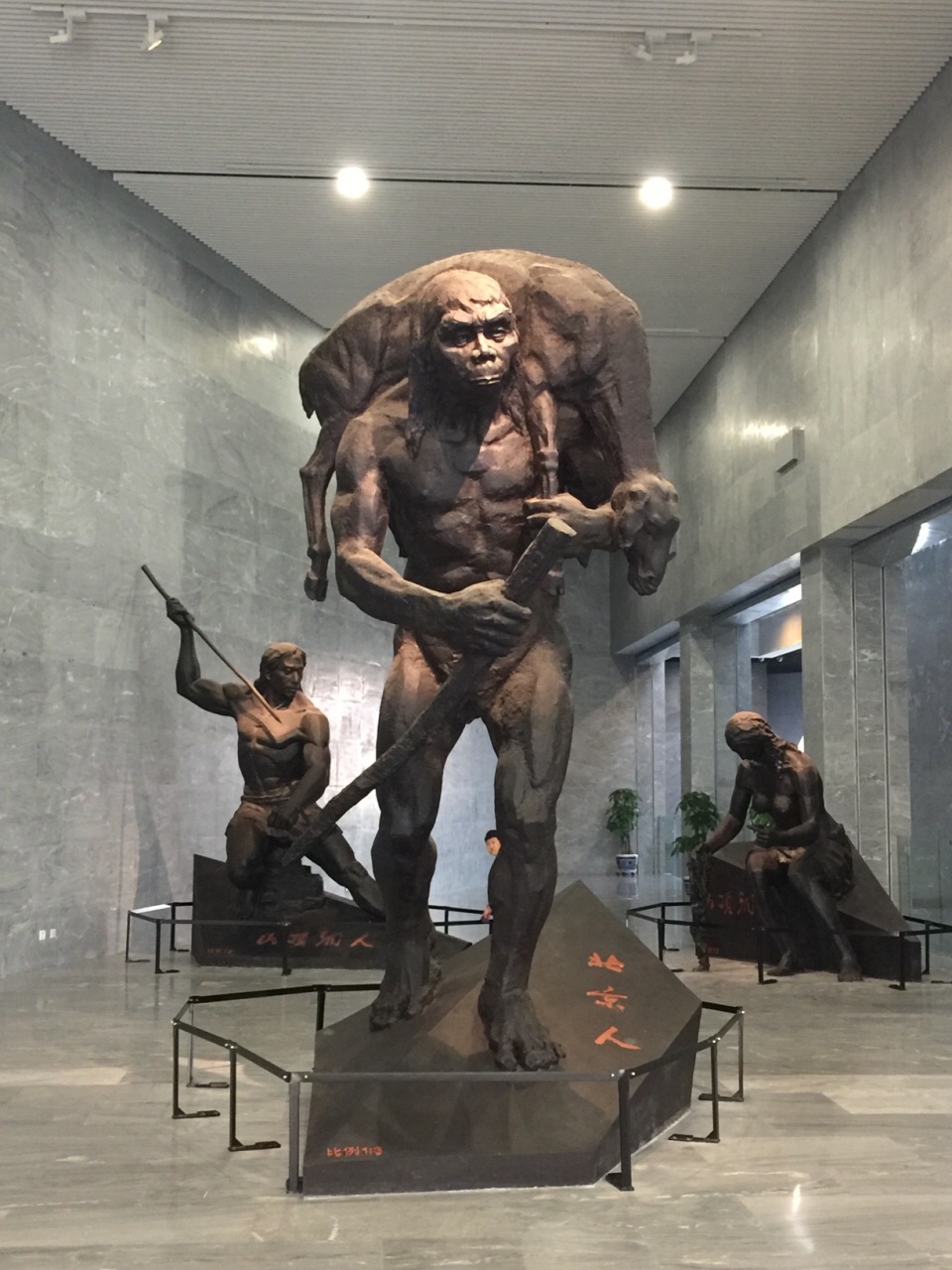 周口店北京猿人博物馆图片